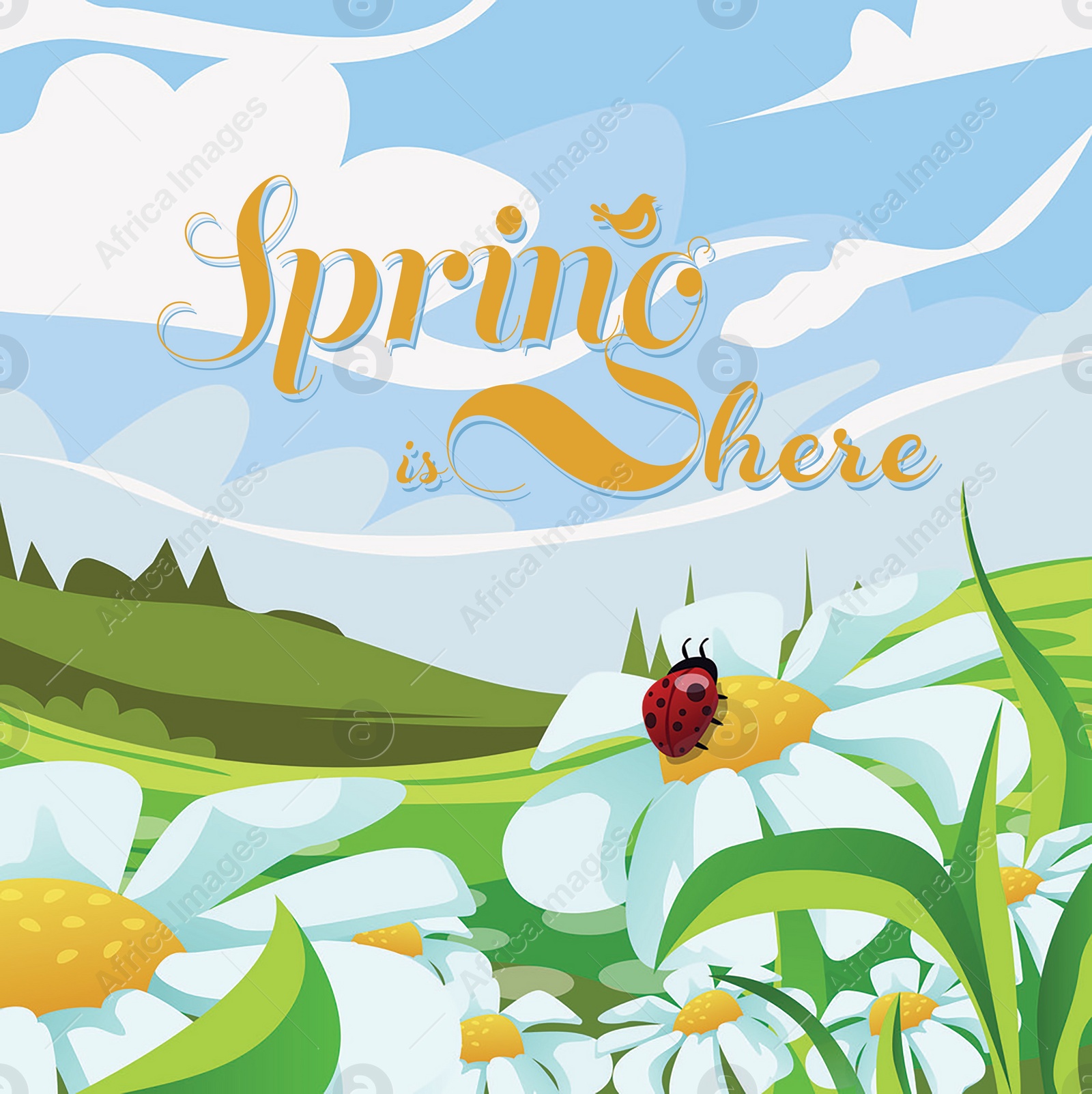 Illustration of Ladybug sitting on chamomile flower in meadow under blue sky and text Spring Is Here. Illustration design