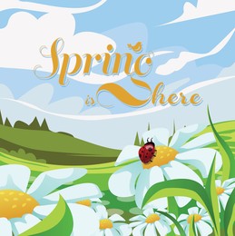 Illustration of Ladybug sitting on chamomile flower in meadow under blue sky and text Spring Is Here. Illustration design