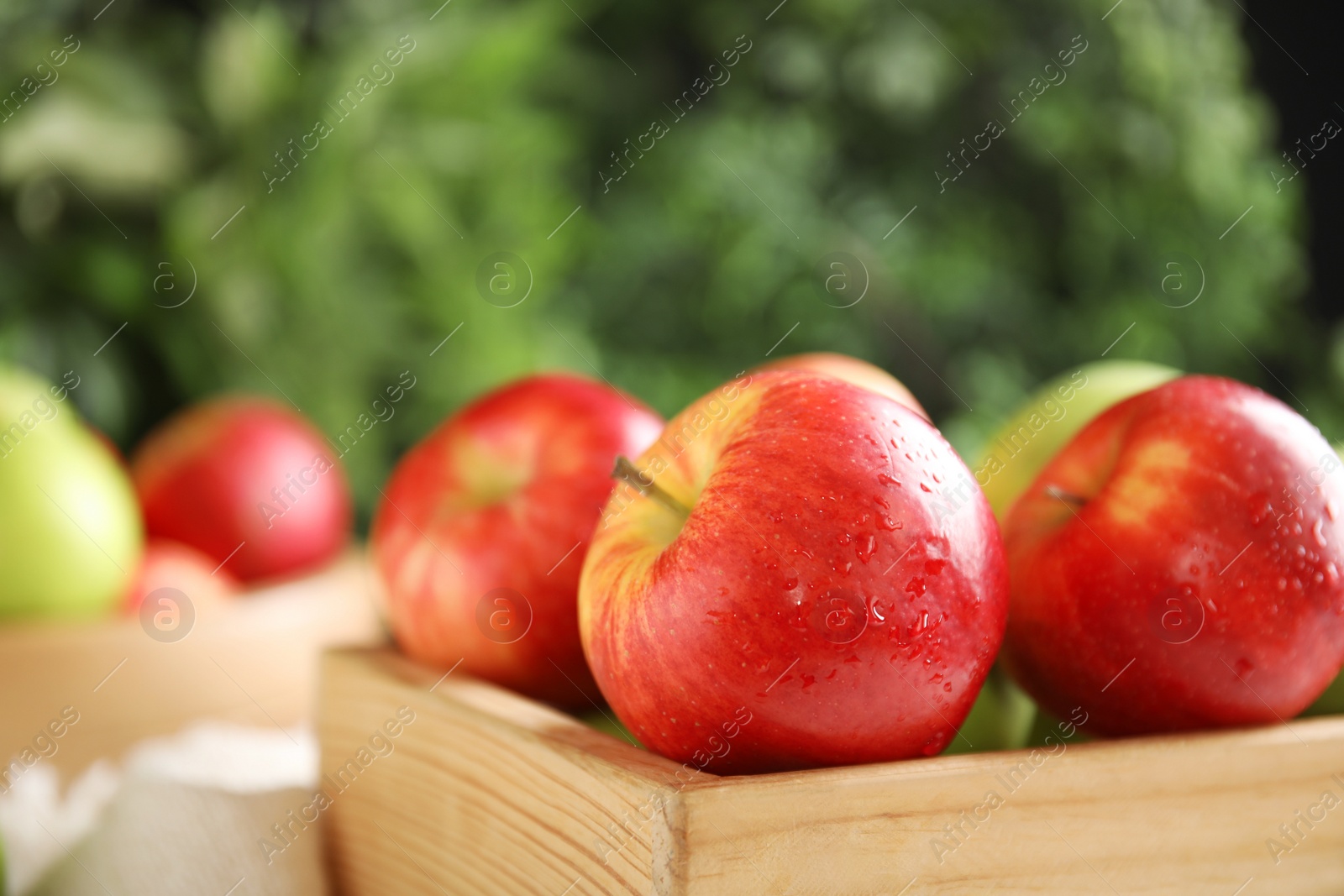 Photo of Fresh ripe apples in wooden crate on blurred background, closeup. Space for text