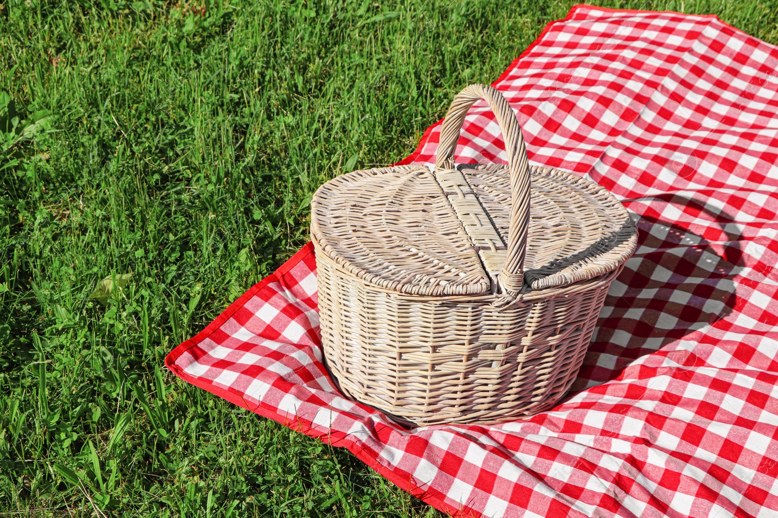 Photo of Picnic basket with checkered tablecloth on green grass outdoors