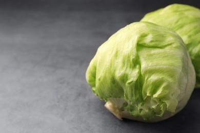 Photo of Fresh green iceberg lettuce heads on grey table, closeup. Space for text