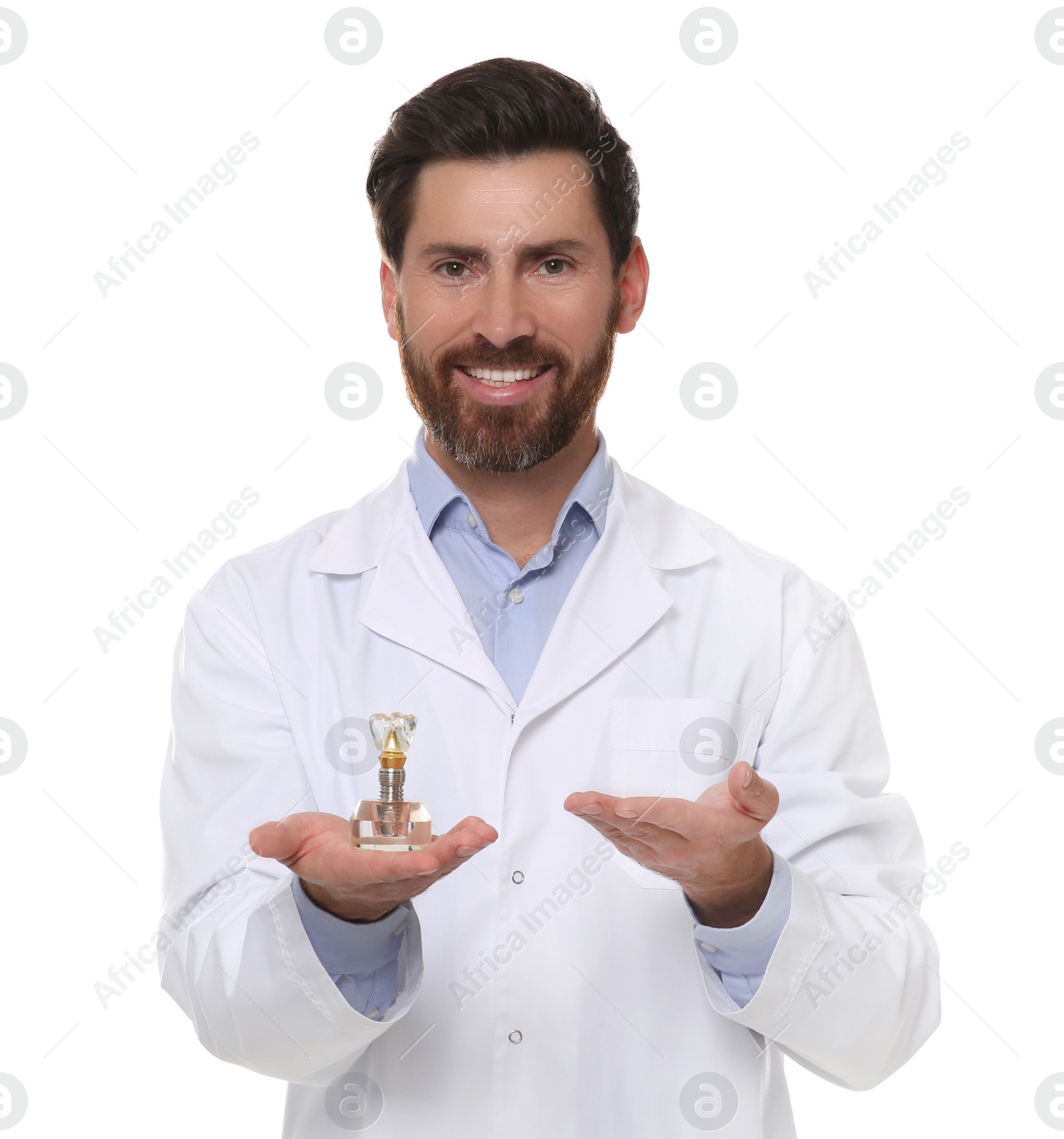 Photo of Dentist holding educational model of dental implant on white background