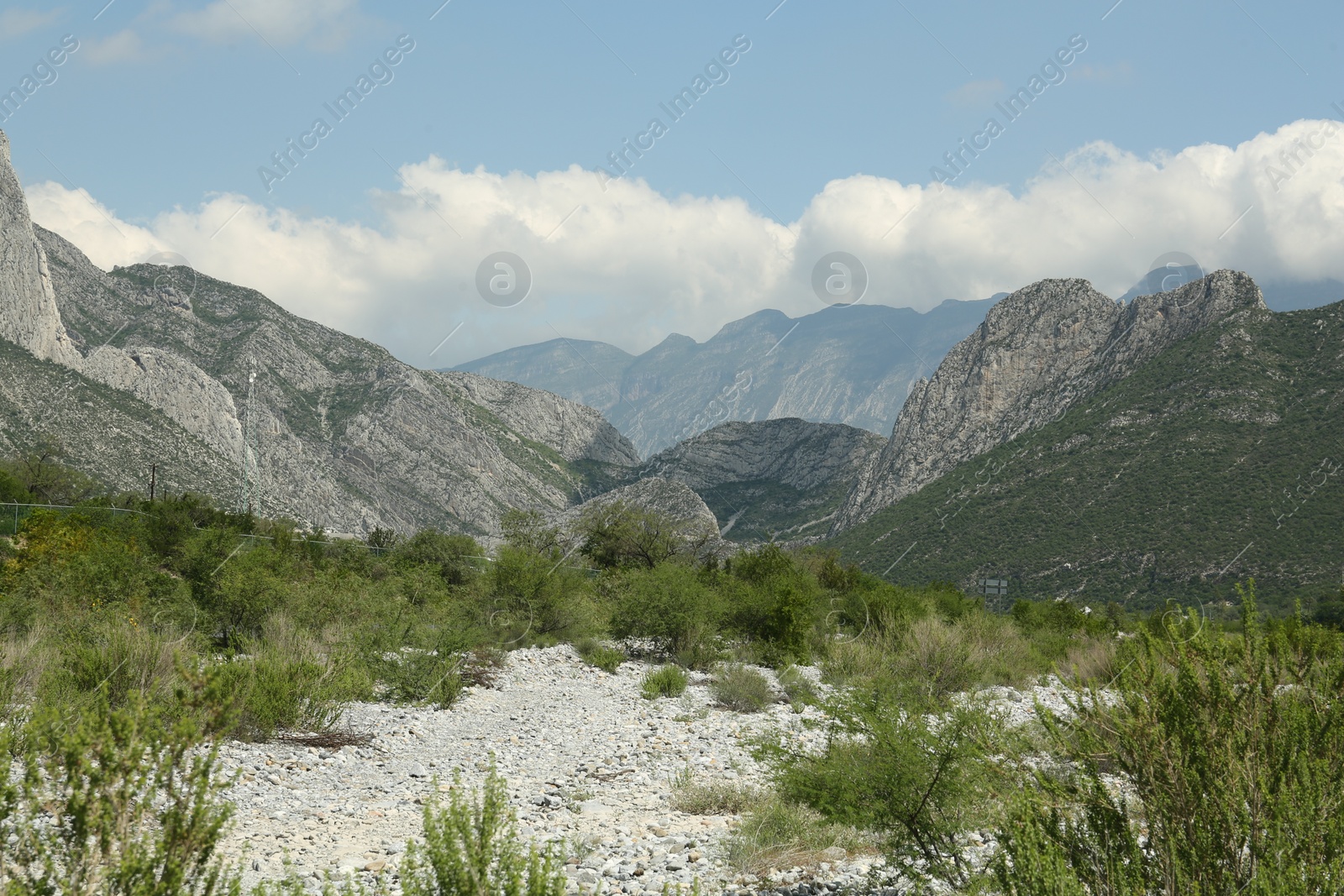 Photo of Picturesque view of beautiful mountains and plants under cloudy sky