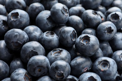 Photo of Many tasty fresh blueberries as background, closeup view