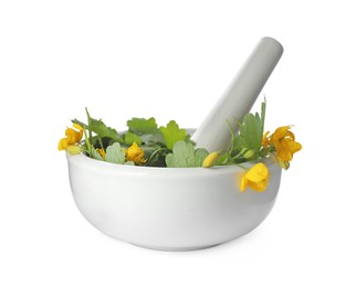 Celandine with pestle in mortar isolated on white