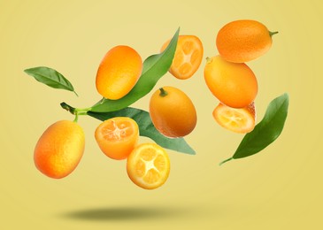 Delicious fresh kumquats and green leaves falling on pale olive background