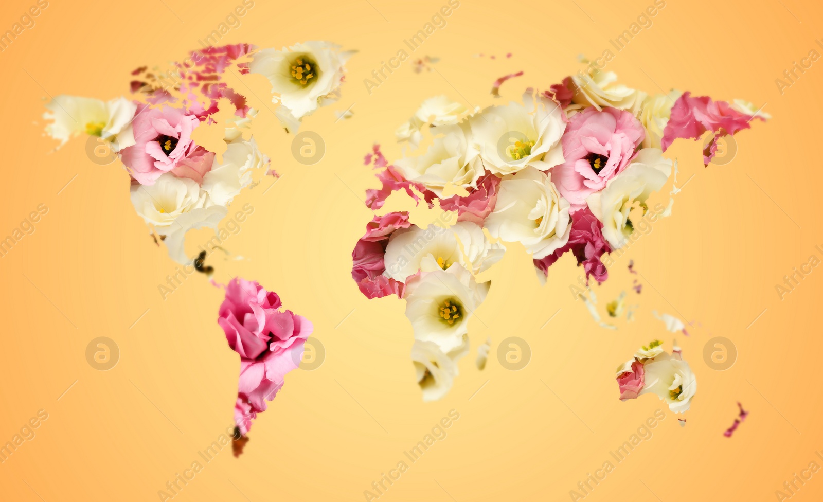 Image of World map made of beautiful flowers on pale orange background, banner design