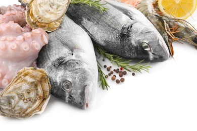 Photo of Fresh dorado fish, octopus, shrimps and oysters on white background, closeup