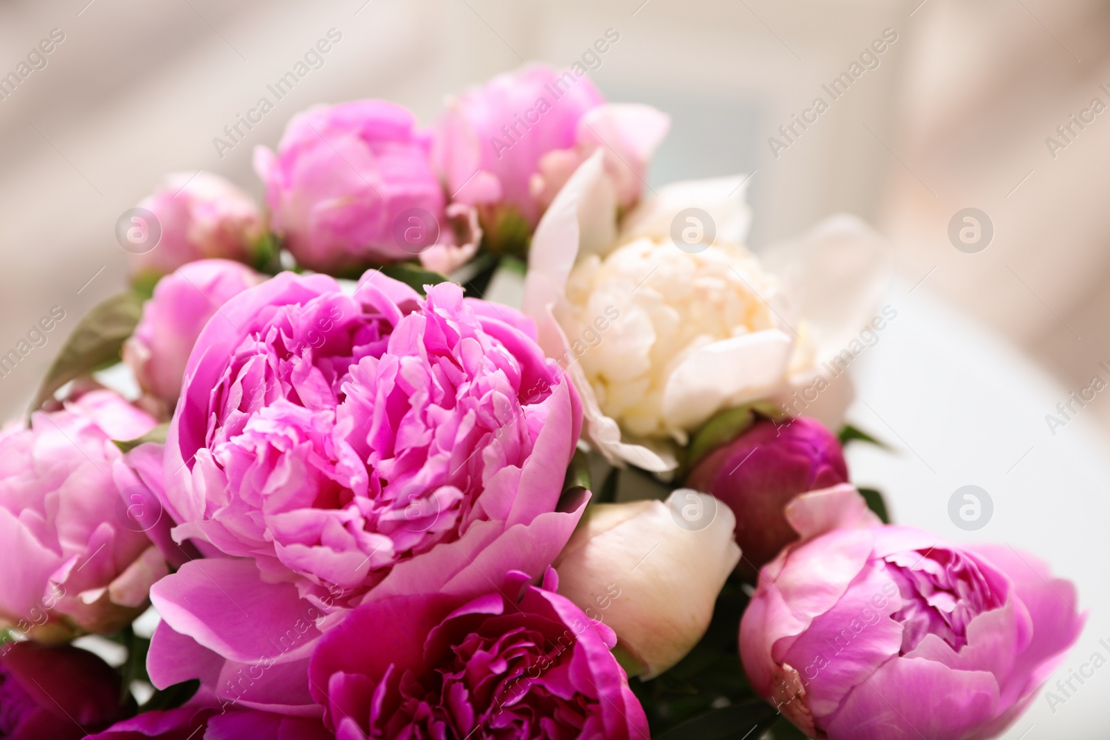 Photo of Bouquet of beautiful peonies on blurred background, closeup