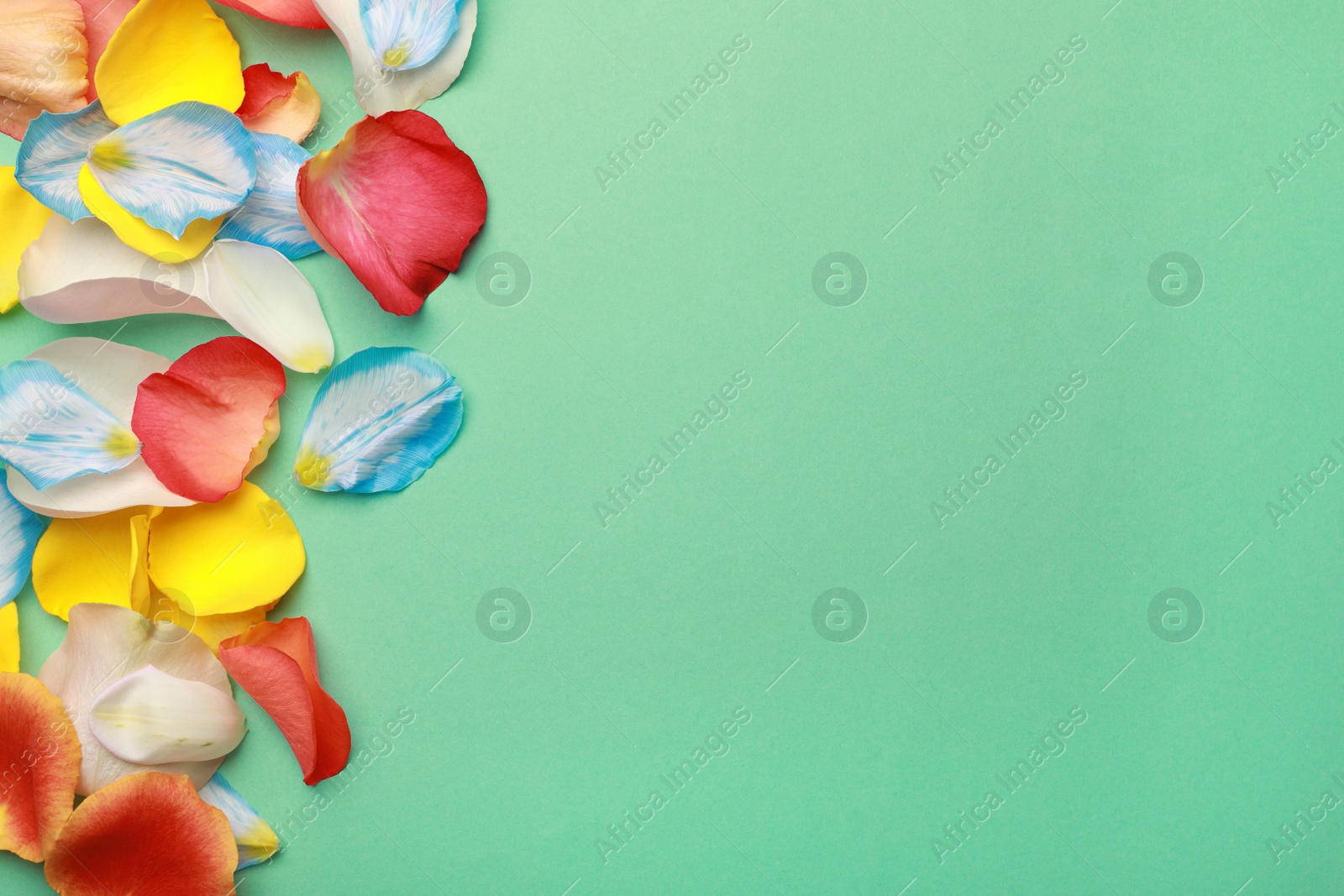 Photo of Beautiful petals on green background, flat lay. Space for text