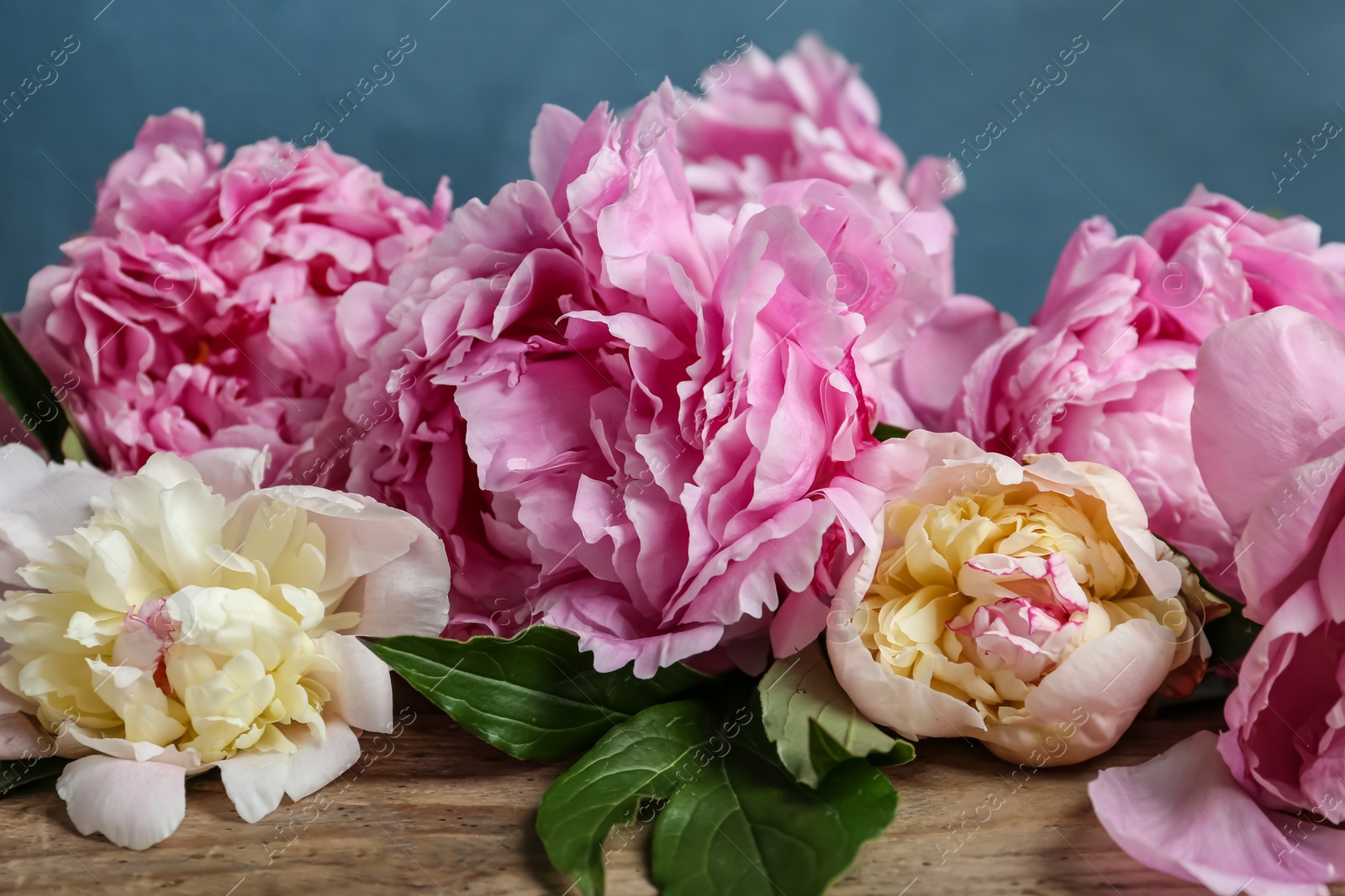 Photo of Beautiful fragrant peonies on wooden table, closeup