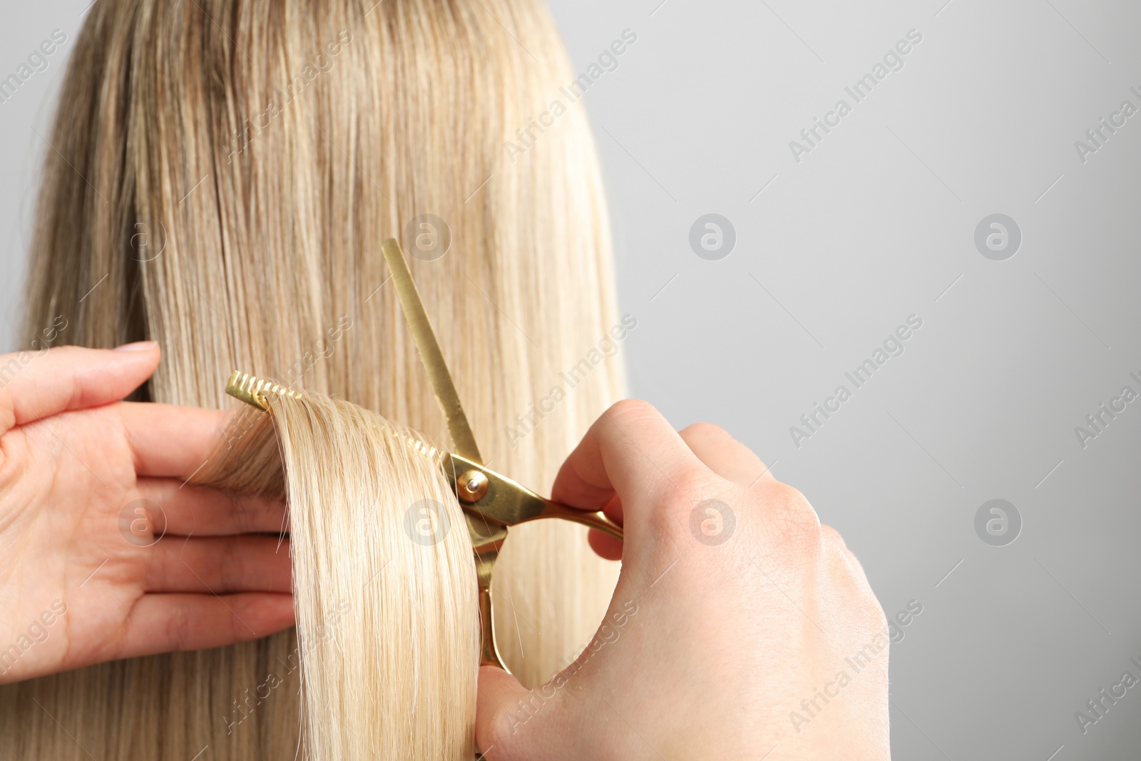 Photo of Hairdresser cutting client's hair with scissors on light grey background, closeup. Space for text