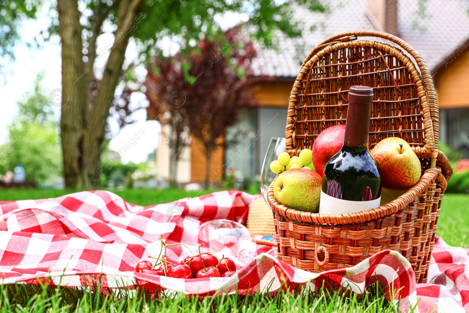 Photo of Picnic basket with fruits and bottle of wine on checkered blanket in garden