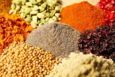 Many different spices as background, closeup view