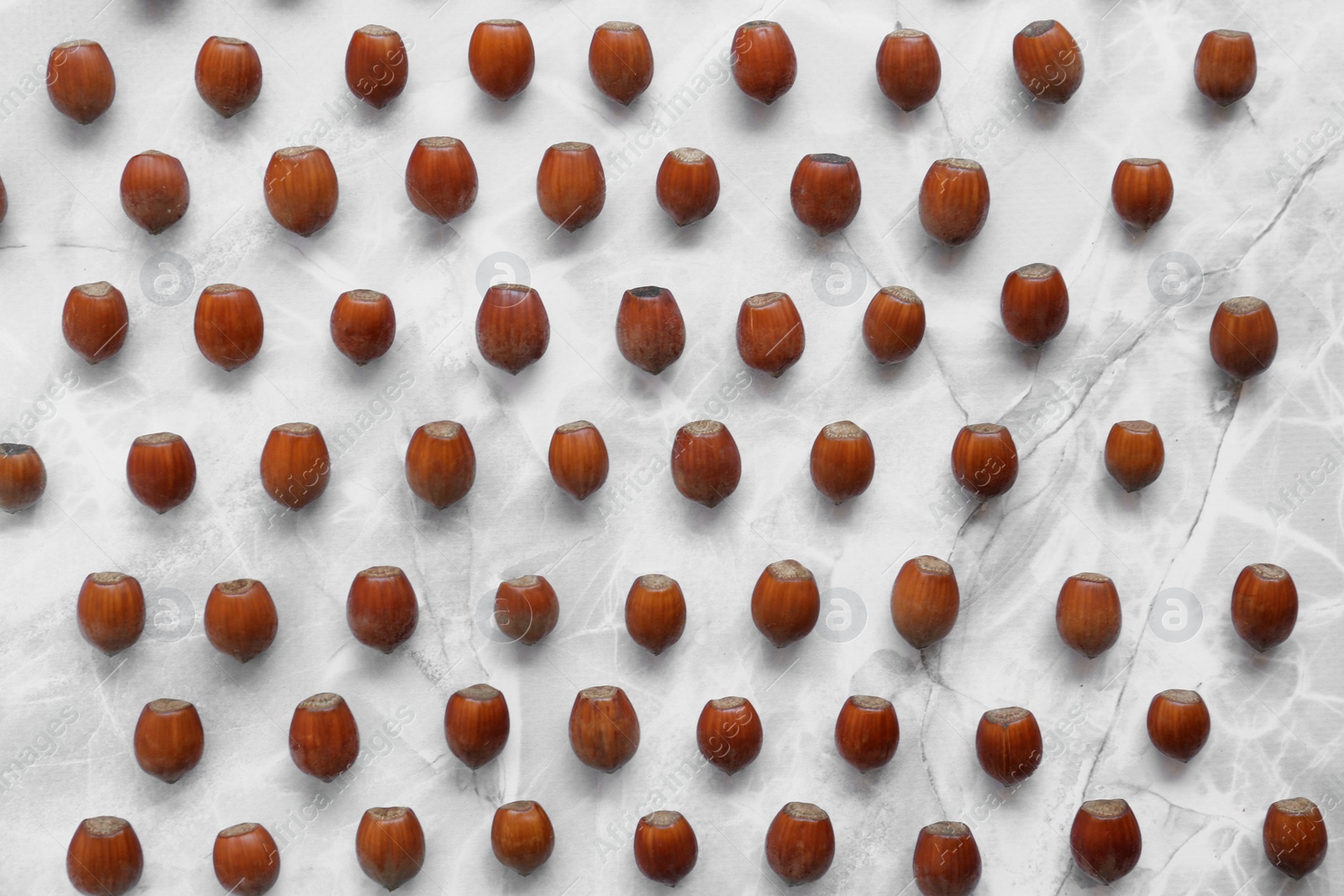 Photo of Tasty hazelnuts on light marble table, flat lay