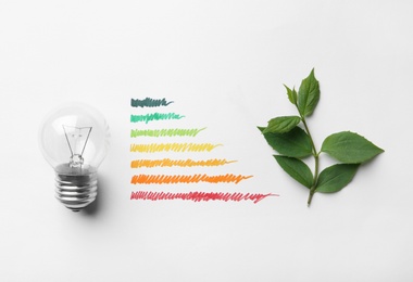 Flat lay composition with colorful bars, light bulb and leaves on white background. Energy efficiency rating chart