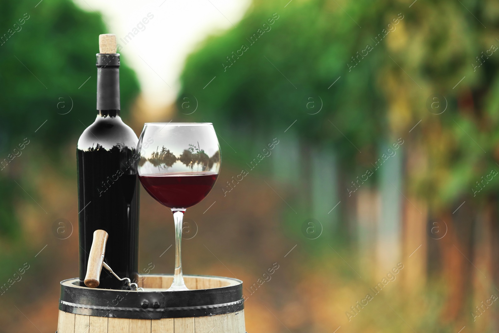 Photo of Bottle and glass of red wine on wooden barrel in vineyard