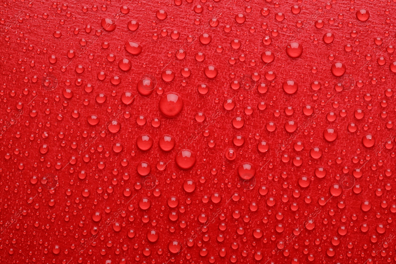 Photo of Water drops on red background, top view