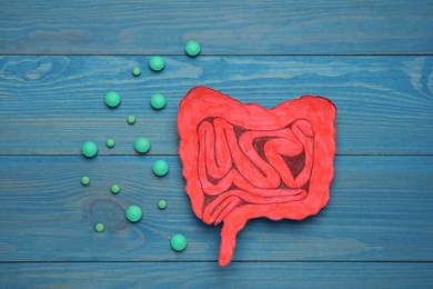 Paper cutout of small intestine and pills on blue wooden background, flat lay