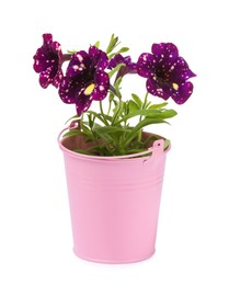 Photo of Beautiful petunia flowers in pink pot isolated on white