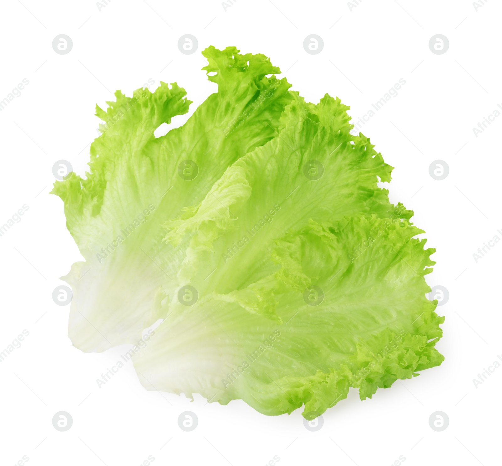 Photo of Fresh green lettuce leaves isolated on white