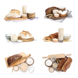 Image of Collage with sourdough starter and different freshly baked bread isolated on white. Leavening agent