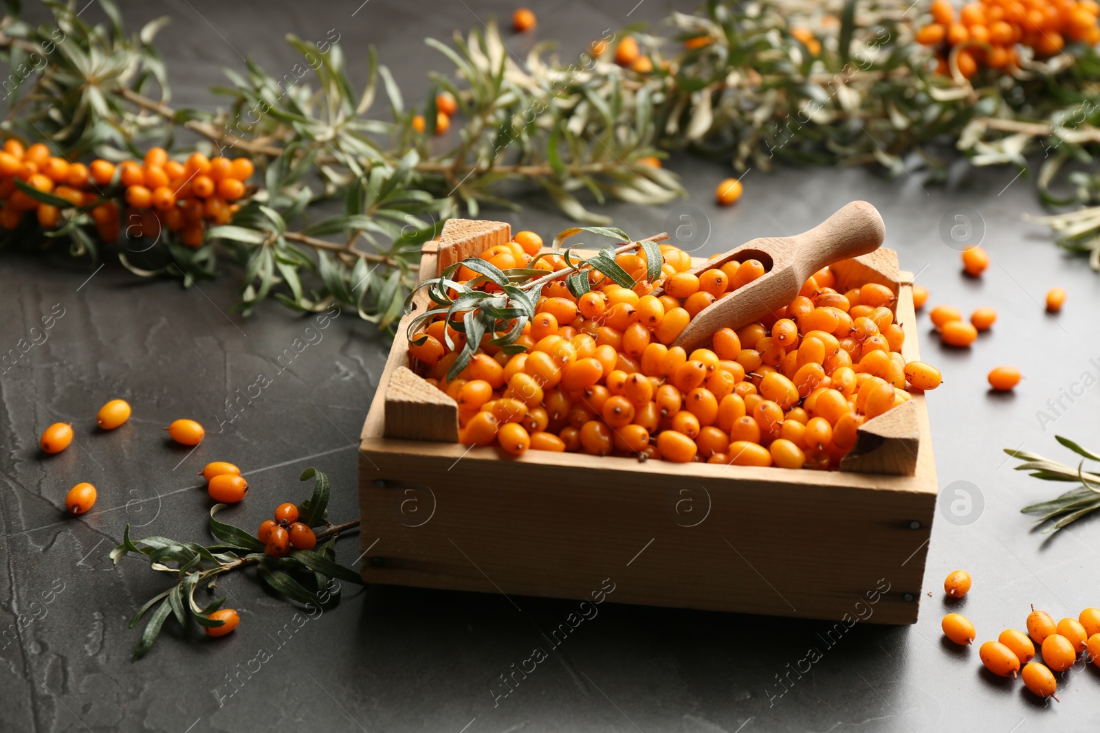 Photo of Fresh ripe sea buckthorn on grey table