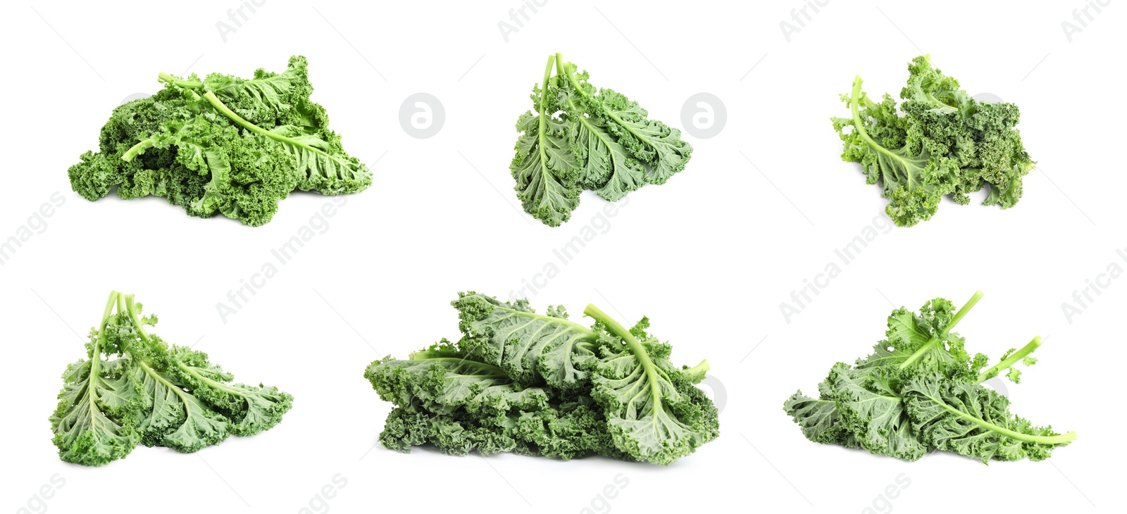 Image of Set of fresh green kale leaves on white background