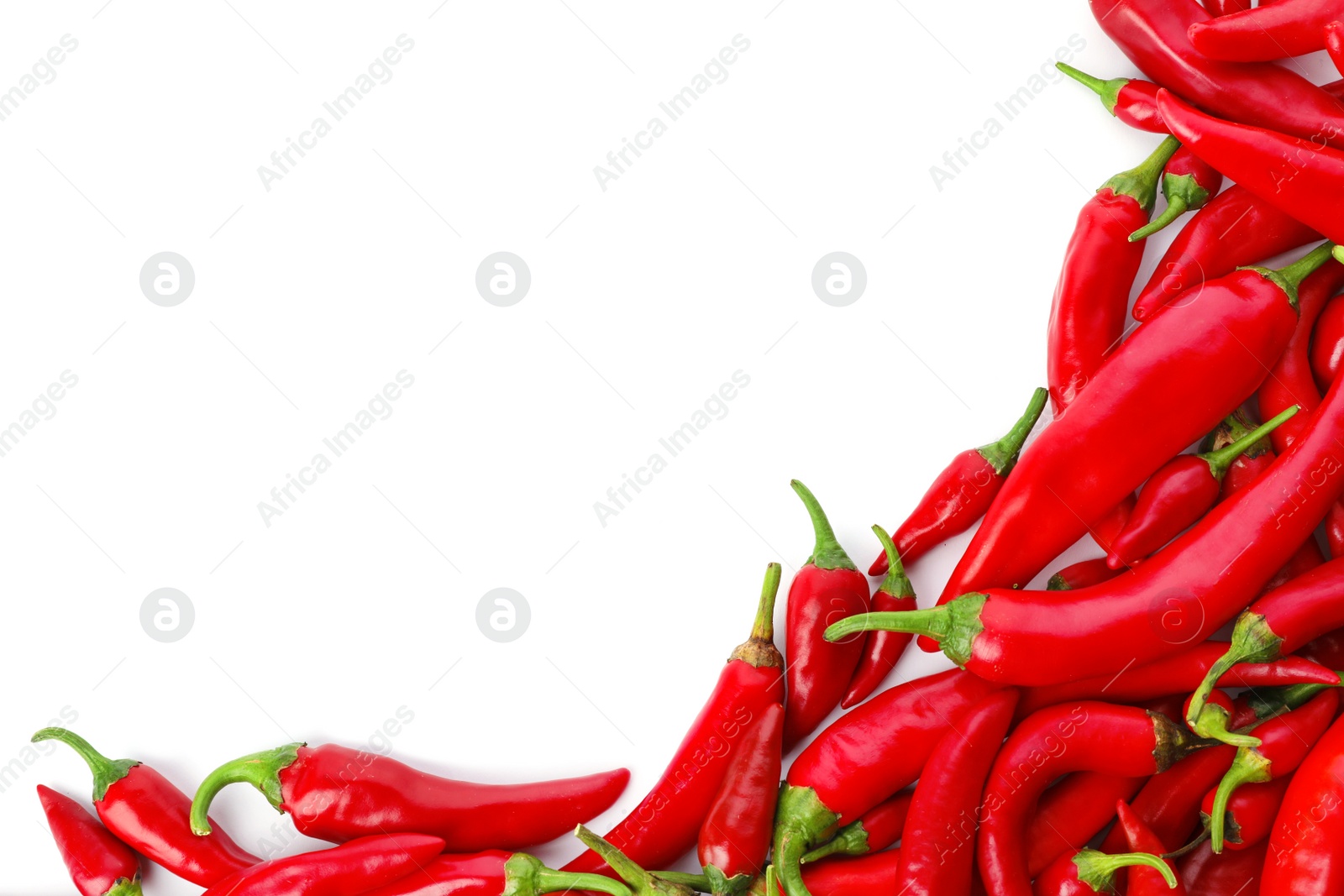 Photo of Red chili peppers on white background, top view. Space for text