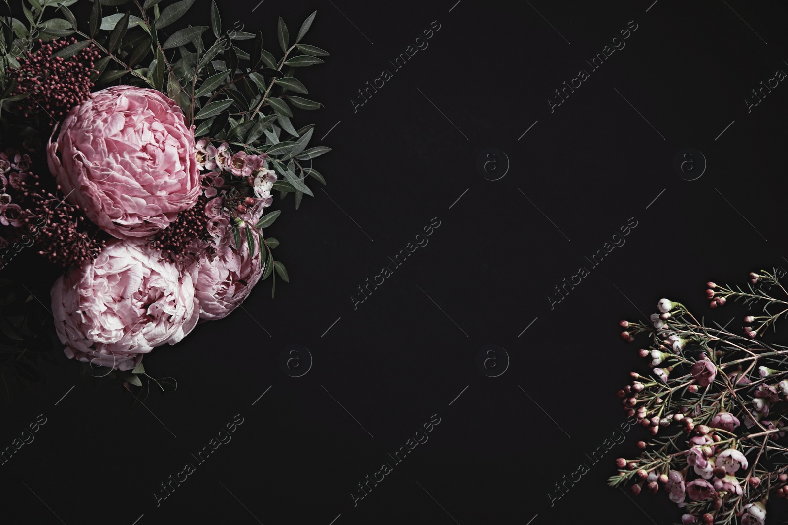 Photo of Beautiful fresh flowers on black background, space for text. Floral card design with dark vintage effect