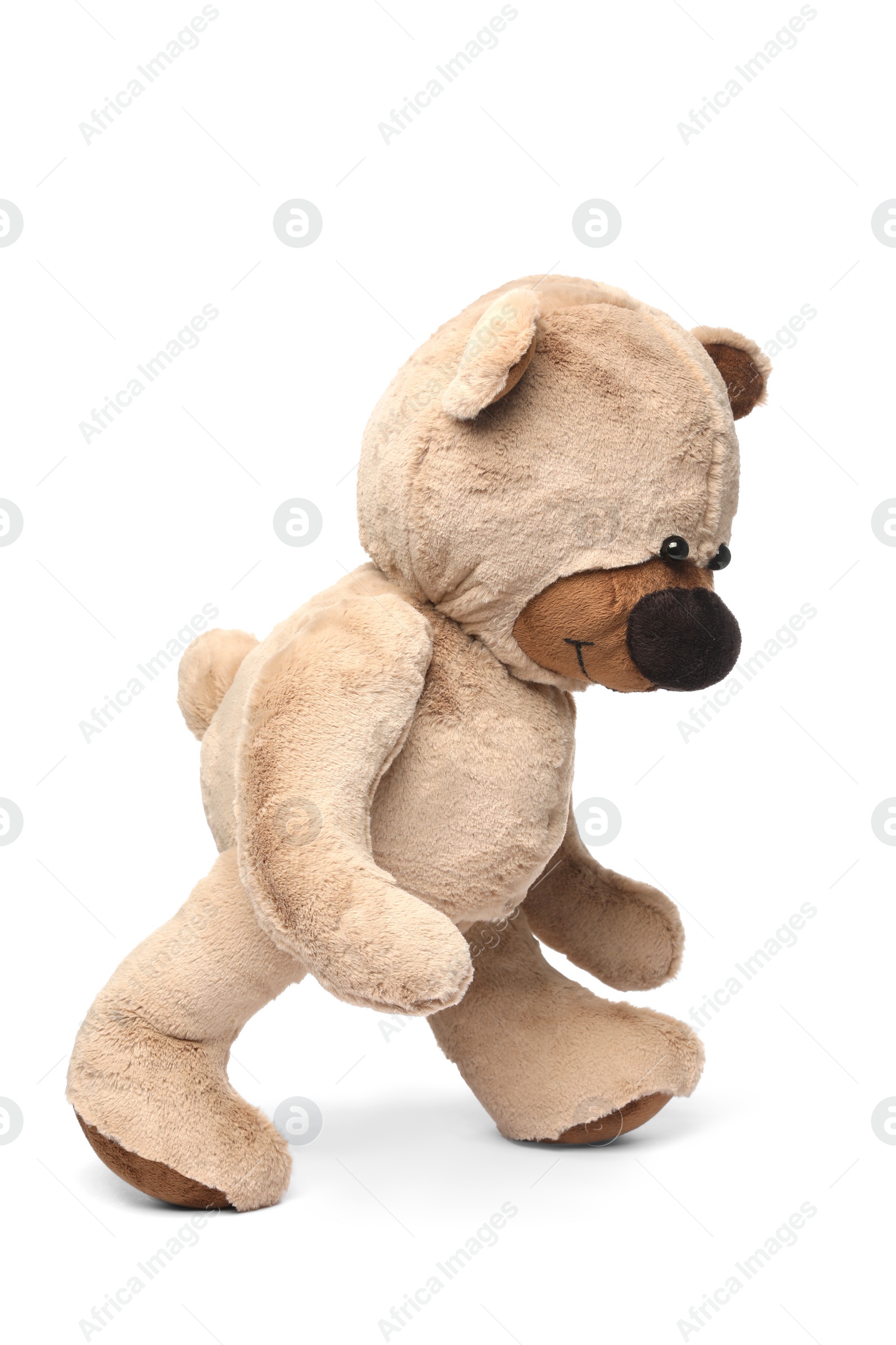 Photo of Cute teddy bear walking on white background