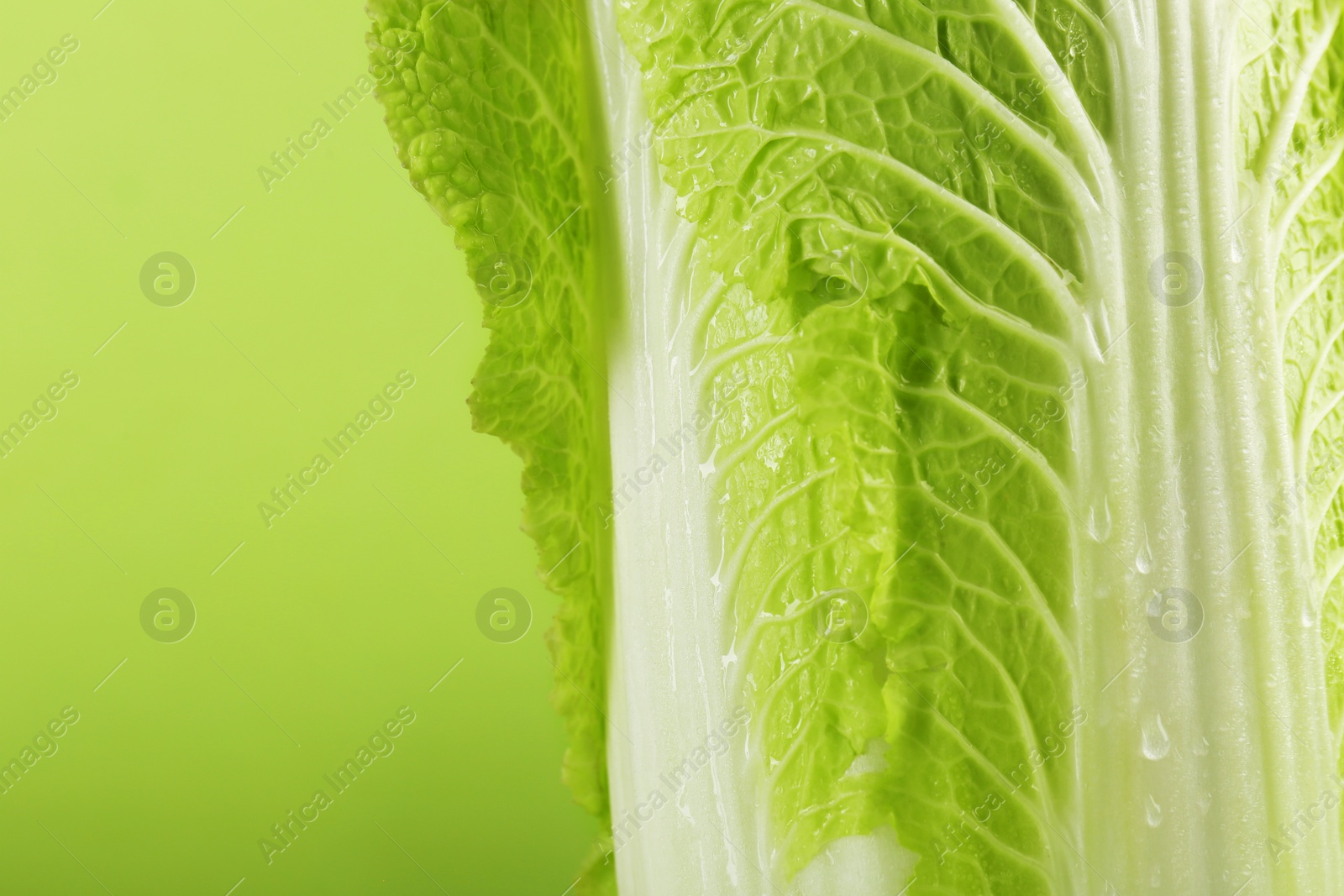 Photo of Fresh ripe Chinese cabbage on light green background, closeup. Space for text