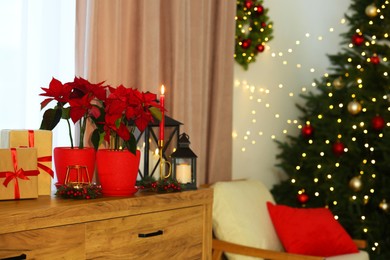 Potted poinsettias, burning candles and festive decor on dresser in room, space for text. Christmas traditional flower