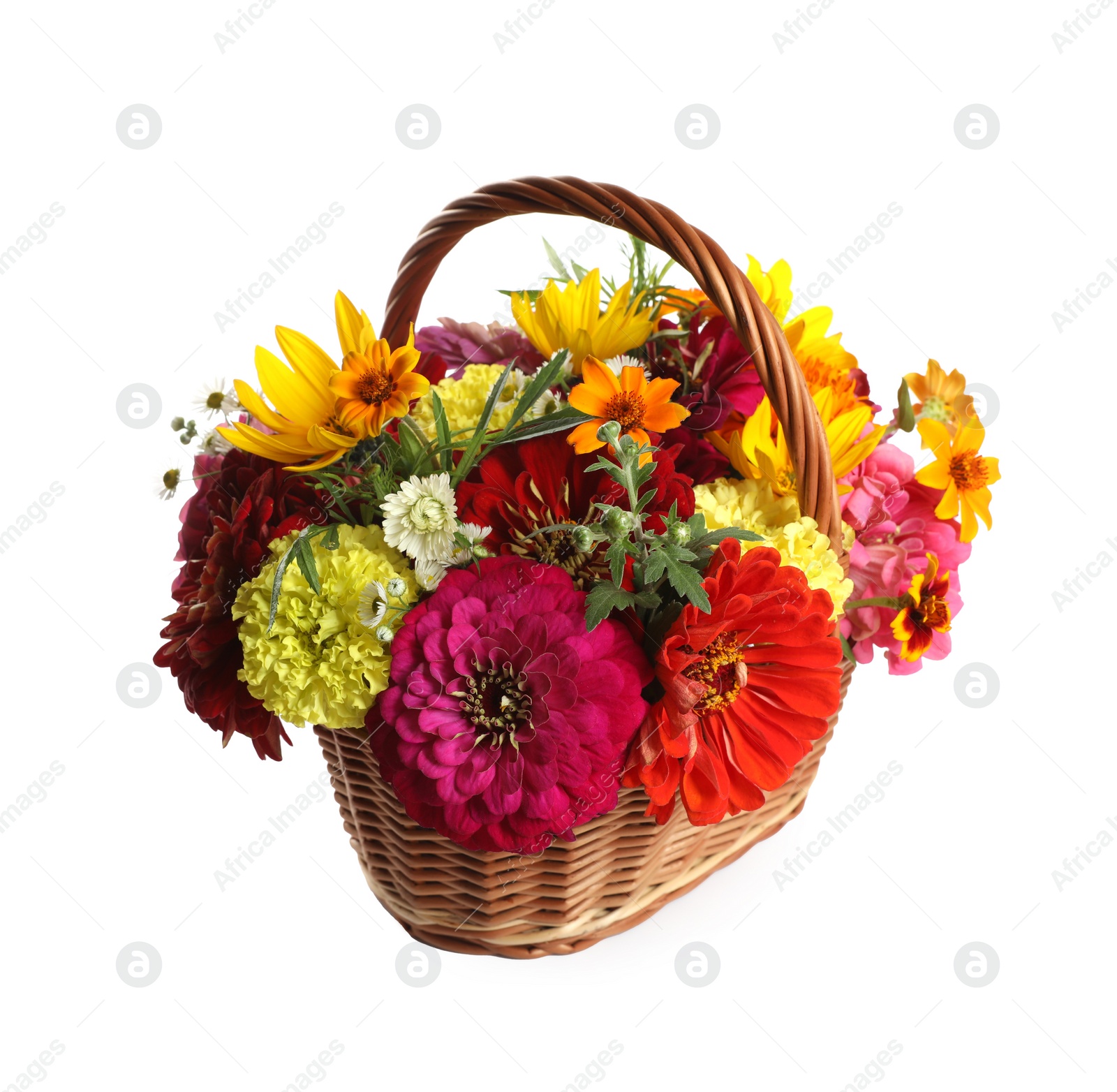 Photo of Beautiful wild flowers in wicker basket isolated on white