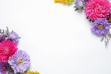 Composition with beautiful aster flowers on white background, top view. Space for text