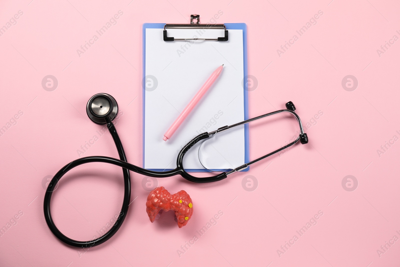 Photo of Endocrinology. Stethoscope, clipboard, model of thyroid gland and pen on pink background, flat lay