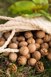 Overturned bag with walnuts on green grass outdoors, closeup