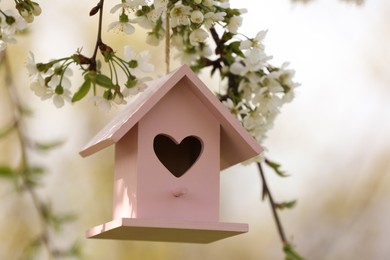 Photo of Pink bird house with heart shaped hole hanging from tree branch outdoors