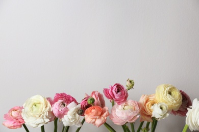 Photo of Beautiful ranunculus flowers on light grey background, closeup. Space for text