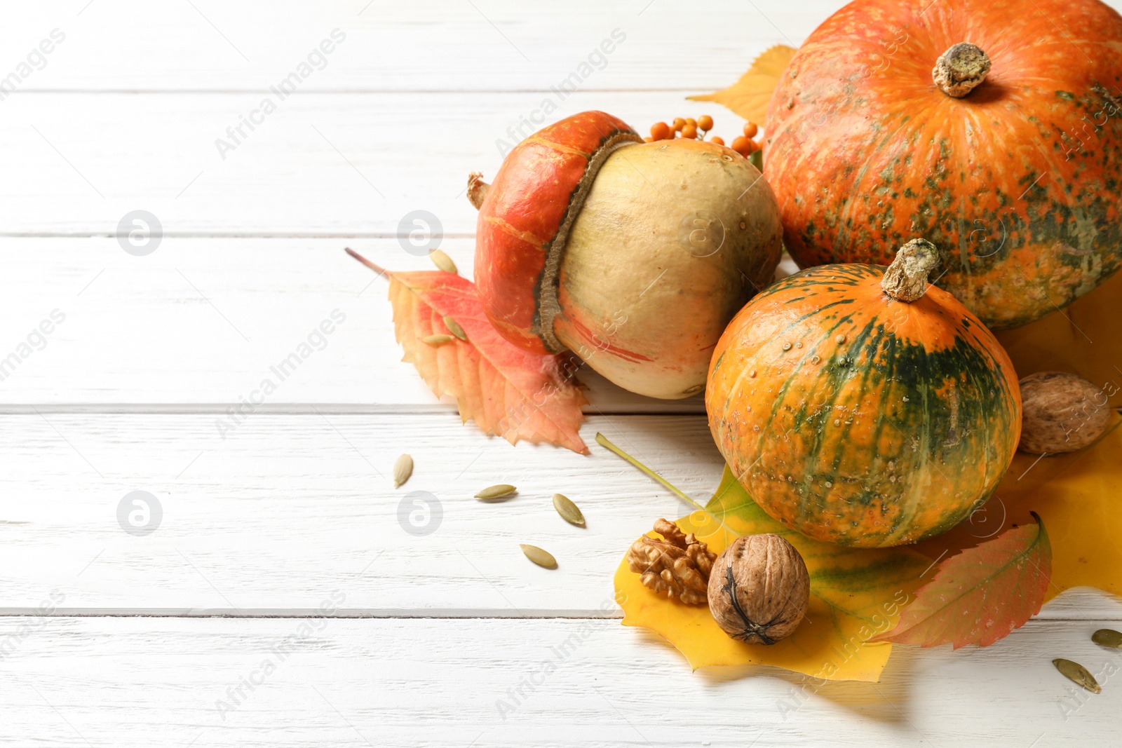 Photo of Different pumpkins and space for text on wooden background. Autumn holidays