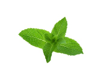 Fresh green mint leaves on white background