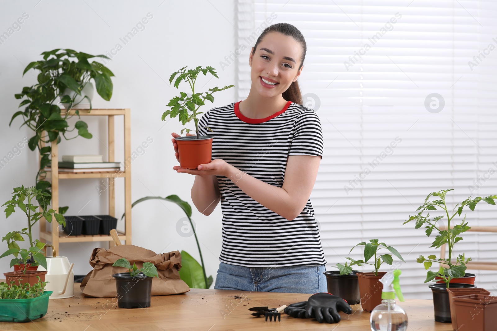 Photo of Happy woman holding pot with seedling in room