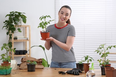 Photo of Happy woman holding pot with seedling in room