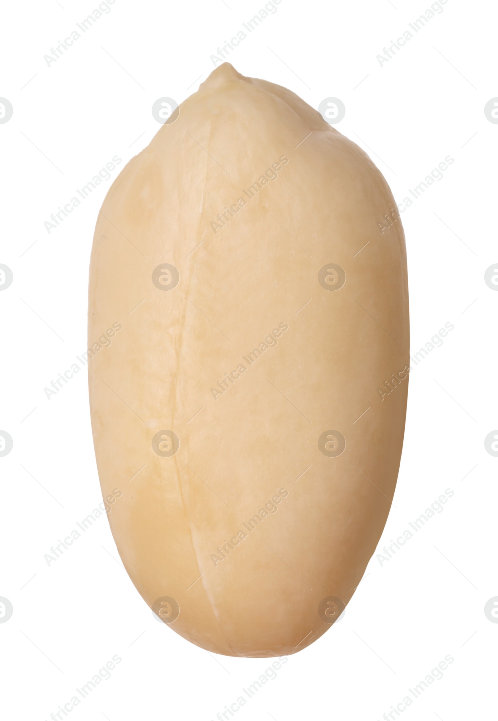 Photo of One fresh peeled peanut isolated on white