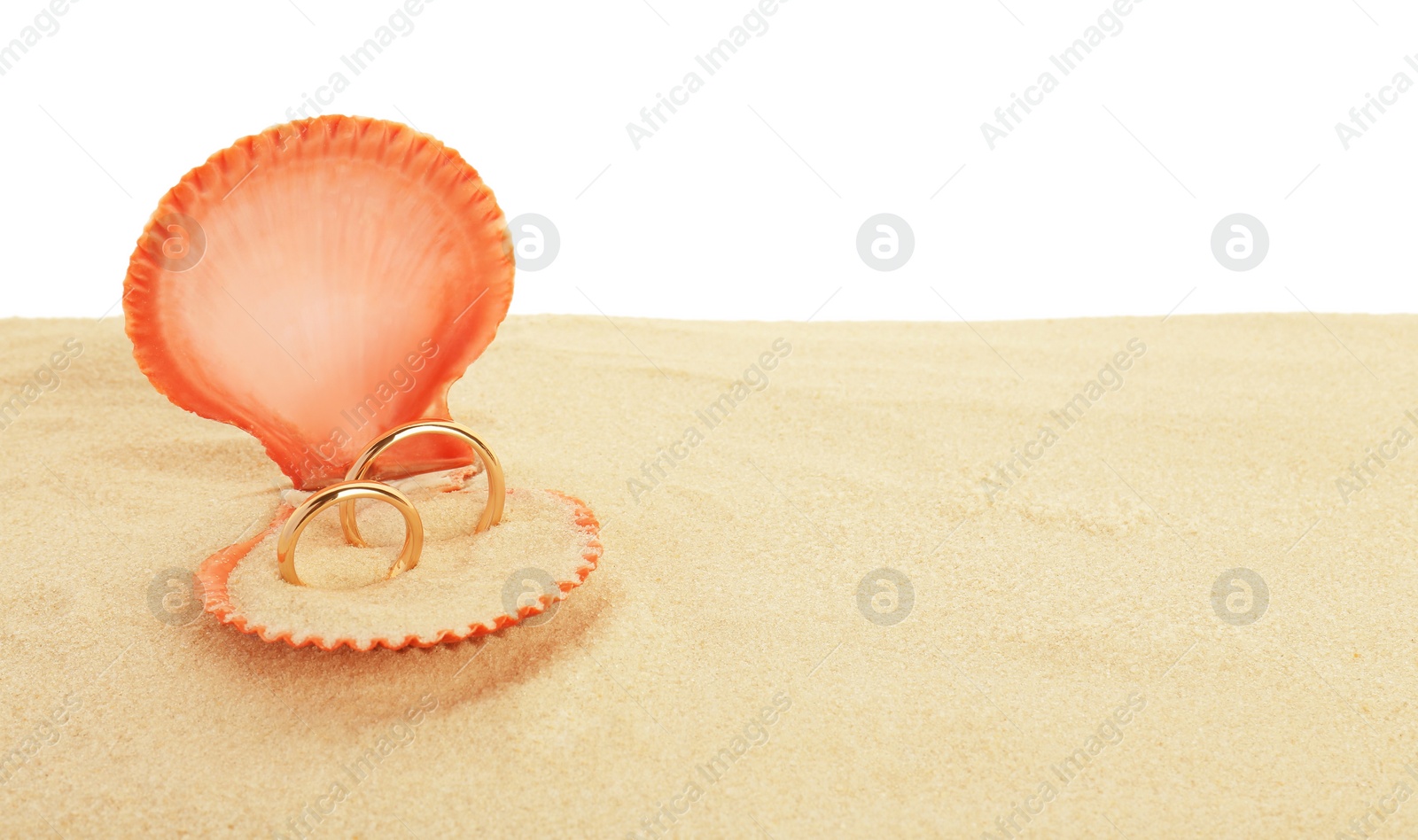 Photo of Honeymoon concept. Two golden rings in shell and sand isolated on white