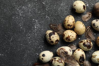 Photo of Speckled quail eggs and feathers on black textured table, flat lay. Space for text