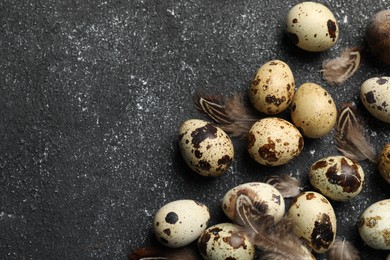 Speckled quail eggs and feathers on black textured table, flat lay. Space for text