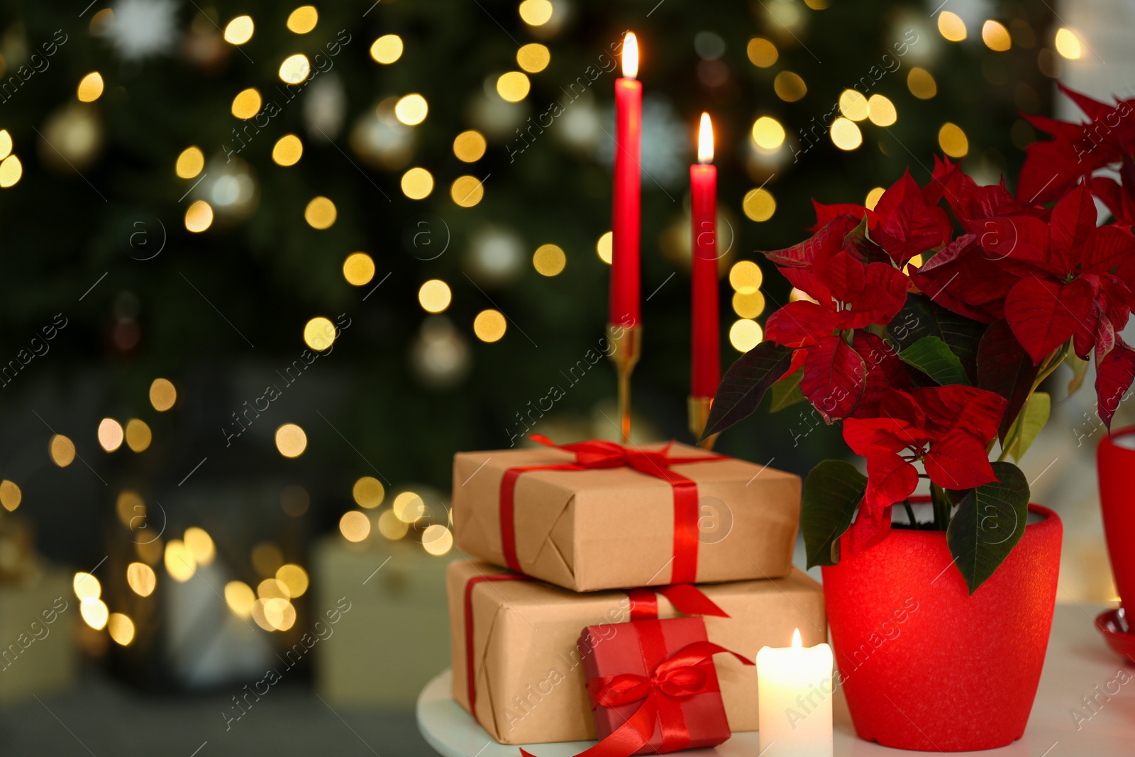 Photo of Potted poinsettias, burning candles and festive decor on white table in room, space for text. Christmas traditional flower