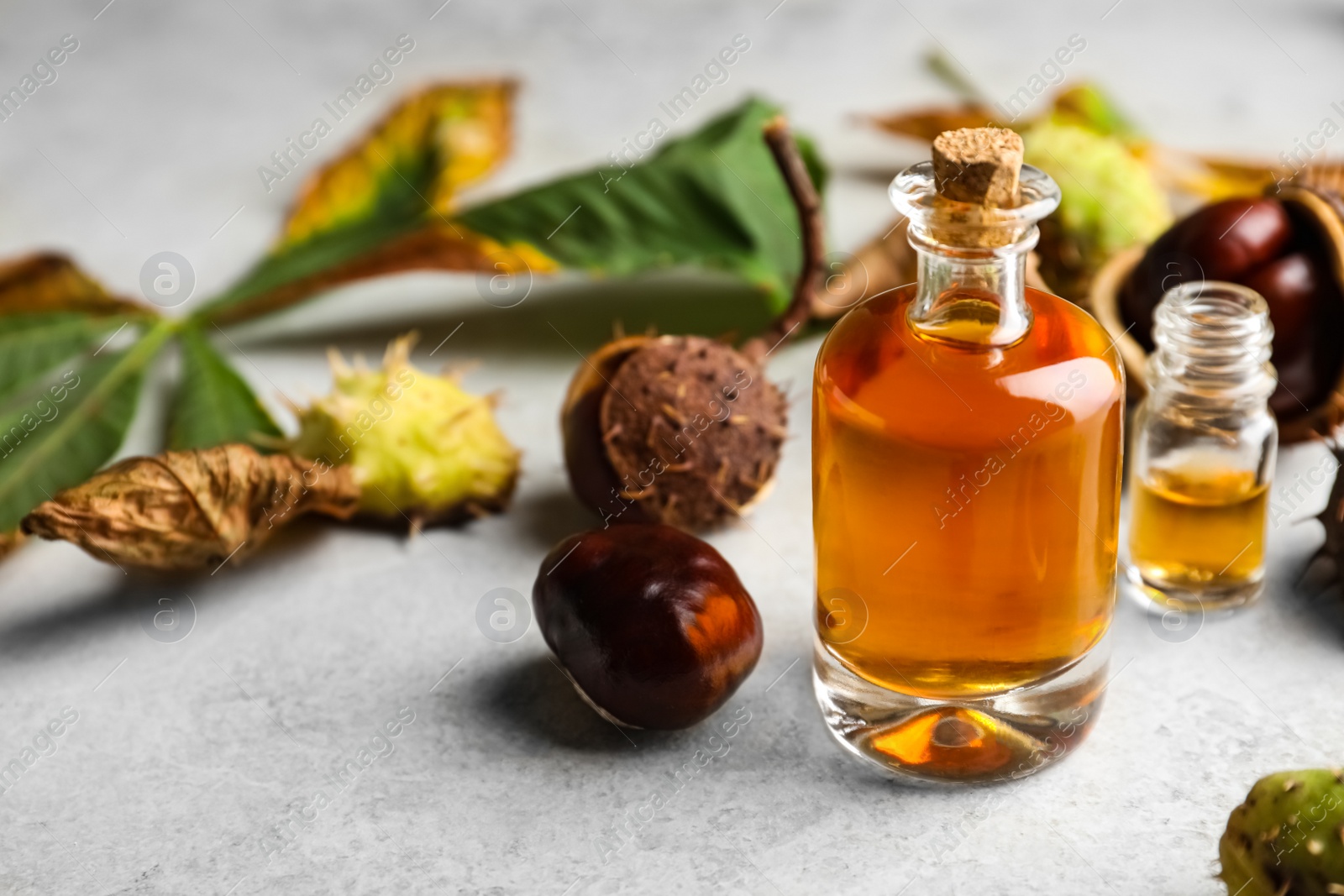 Photo of Horse chestnuts and bottles of tincture on grey table