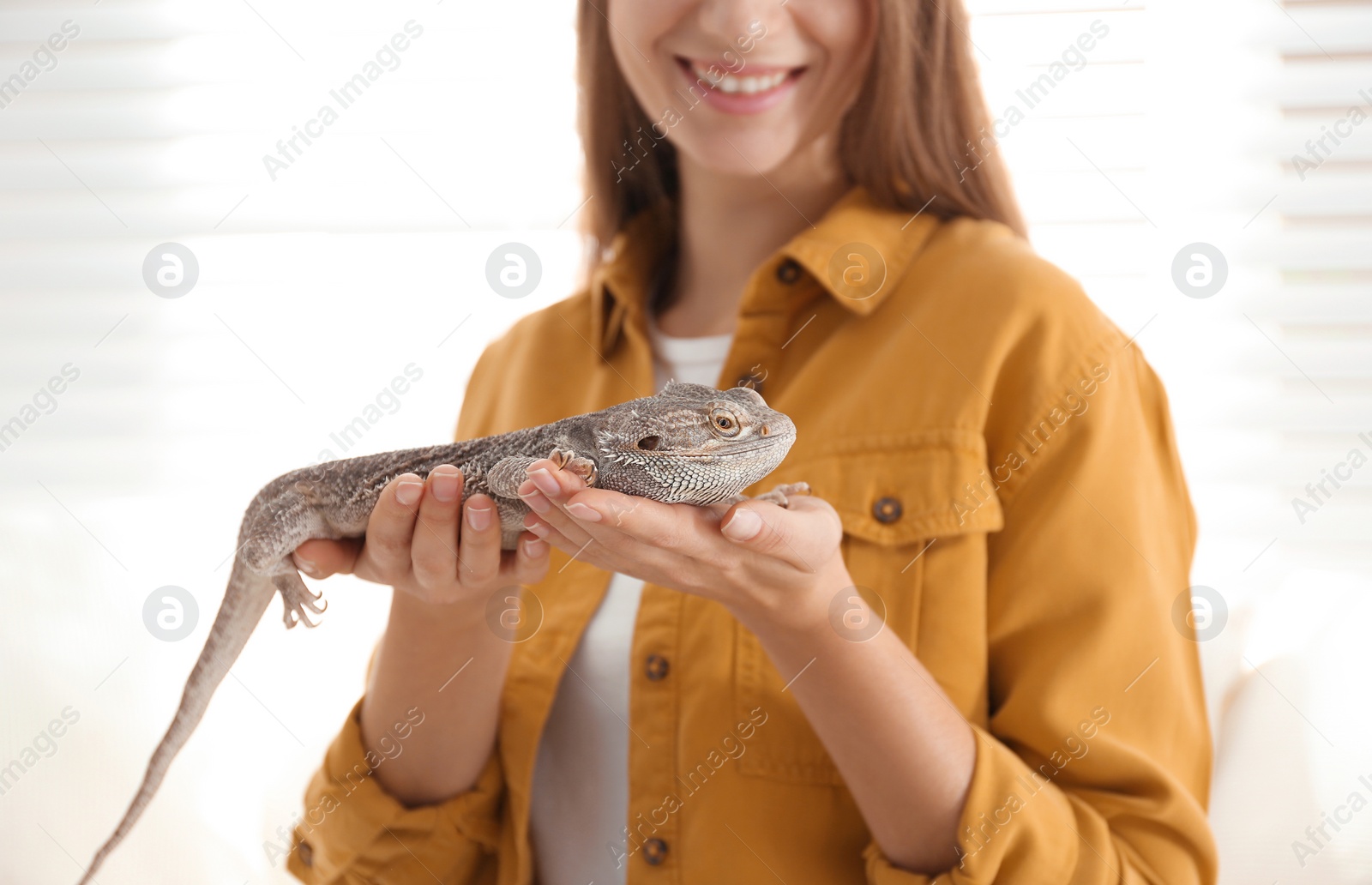 Photo of Young woman with bearded lizard at home, closeup. Exotic pet